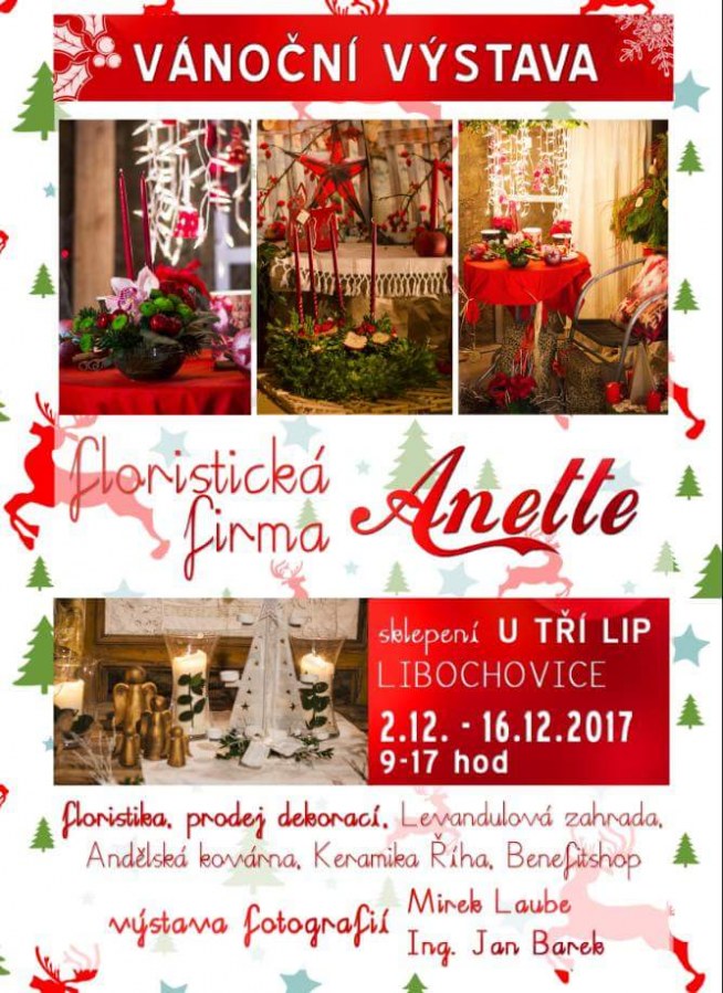 Vánoční výstava a prodej dekorací